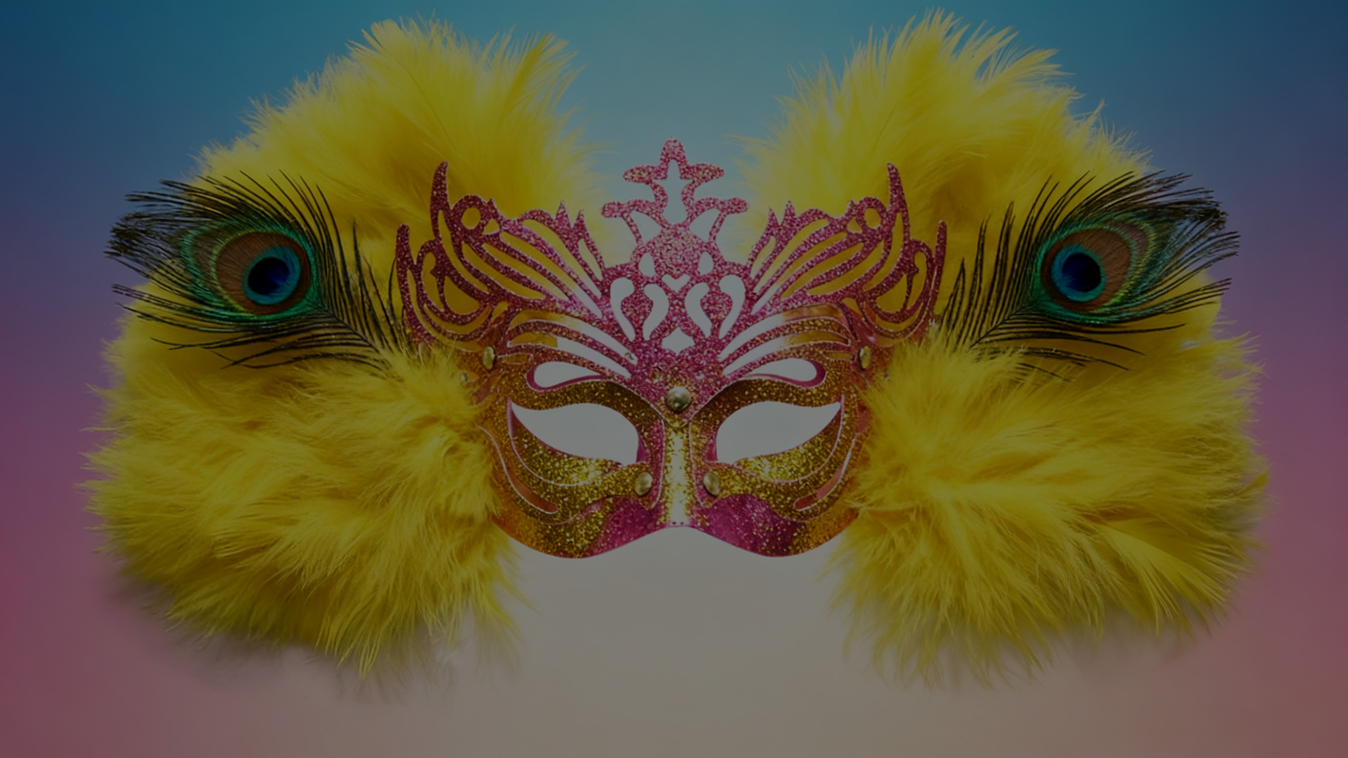 羽毛工艺品系列